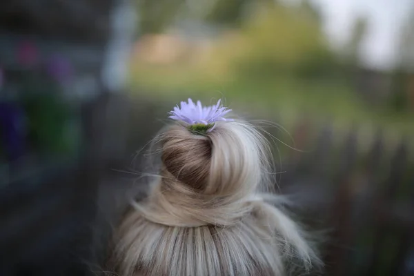 女の子の髪の毛のクローズアップは それらに織られた紫色の赤いカモミールの花を持つパンに集められます 春のファッションの概念 とてもピュリ — ストック写真