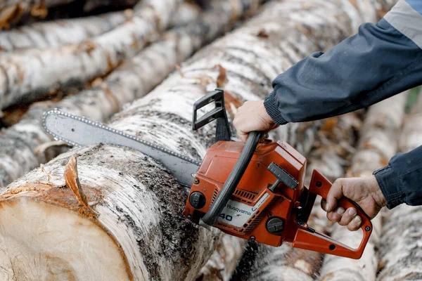 KIROV, Rusya - 09.10.2020. Husqvarna 236 Chainsaw. Elektrikli testereyle odun kesiyor, kışa odun hazırlıyor, kırsal alanda sıkı çalışıyor.. 