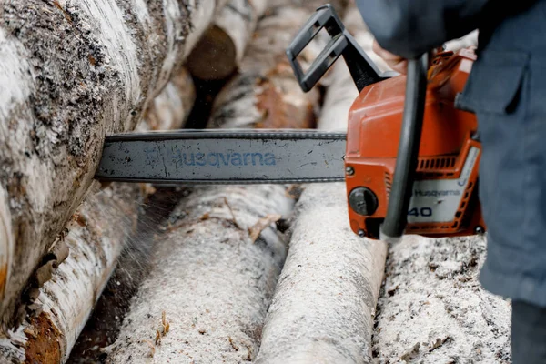 KIROV, Rusya - 09.10.2020. Husqvarna 236 Chainsaw. Elektrikli testereyle odun kesiyor, kışa odun hazırlıyor, kırsal alanda sıkı çalışıyor.. 