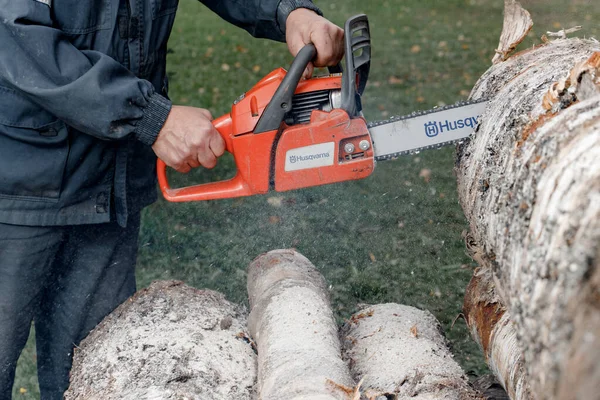 KIROV, Rusya - 09.10.2020. Husqvarna 236 Chainsaw. Elektrikli testereyle odun kesiyor, kışa odun hazırlıyor, kırsal alanda sıkı çalışıyor.. 