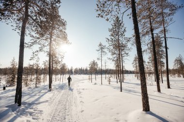  Spor giyimli bir adam kış parkında koşuyor, fotokopi uzayı. Bir koşucu doğada koşuya çıkar. Mevsimlik açık hava sporları ve soğuk sertleştirme kavramı