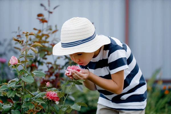 Hasır Şapkalı Küçük Çocuk Bahçede Yürüyor Hayranlık Duyuyor Pembe Gülleri — Stok fotoğraf