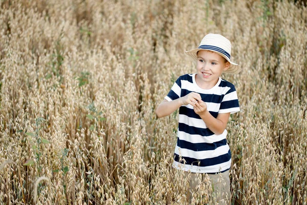 Hasır şapkalı şirin çocuk yulaf tarlasında saklambaç oynuyor. Yulaf tarlasında saklanan komik çocuk.. — Stok fotoğraf