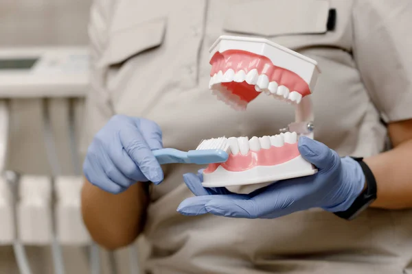 Close-up do dentista demonstra como escovar os dentes corretamente. Conceito de atendimento odontológico Imagem De Stock
