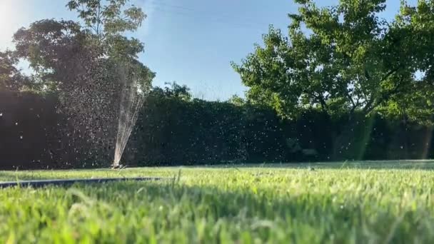 Automatisch besproeien van het gazon op een zomerdag — Stockvideo