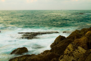 Jaffa shore 2013