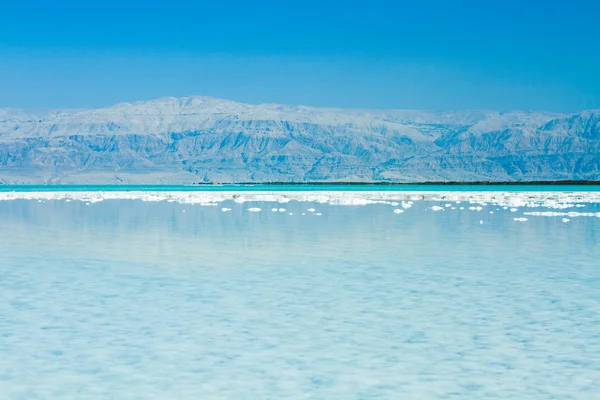 Piękne wybrzeże Morza Martwego — Zdjęcie stockowe