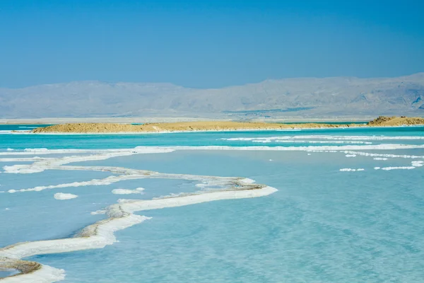 Piękne wybrzeże Morza Martwego — Zdjęcie stockowe