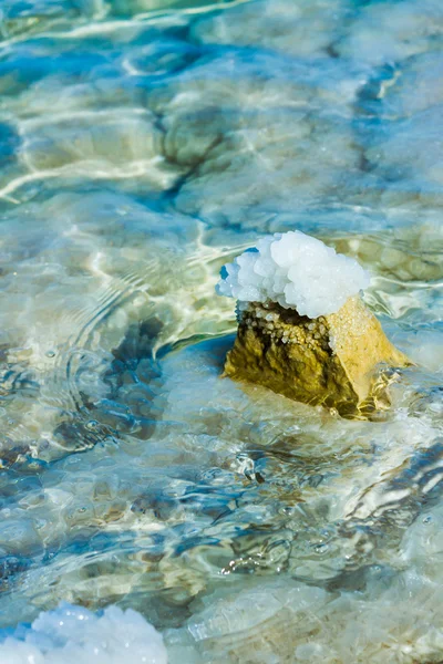 Stenar på stranden av döda havet — Stockfoto