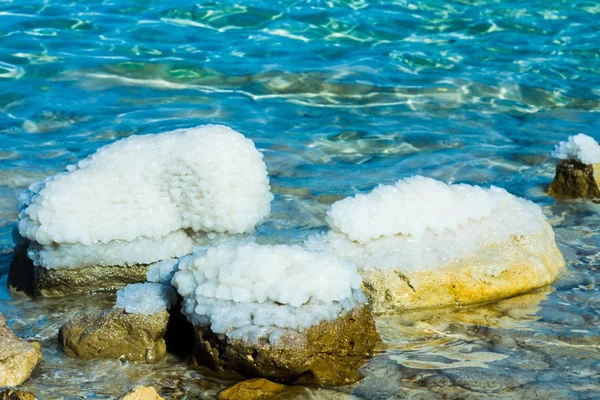 Stenar på stranden av döda havet — Stockfoto