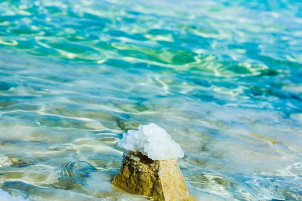 Stenar på stranden av döda havet — Stockfoto