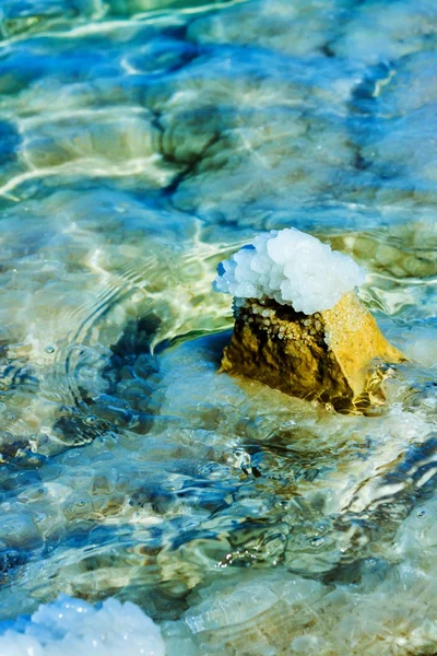 Stenar på stranden av döda havet — Stockfoto