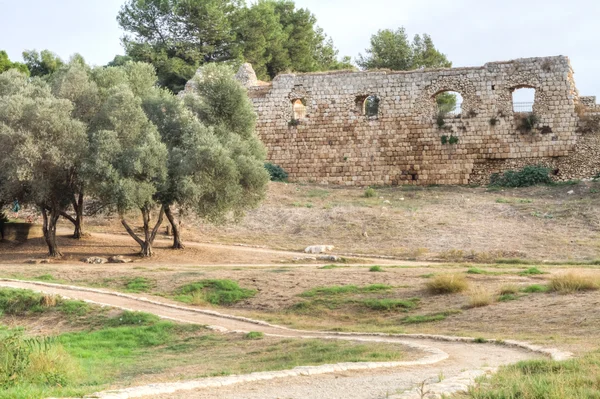 Antipatris fortress . — Stock Photo, Image