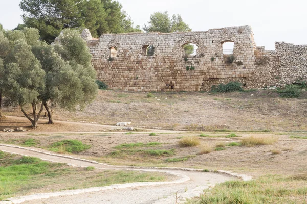 Antipatris fortress . — Stock Photo, Image