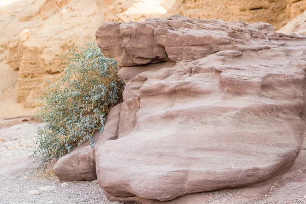 Prachtige berg canyon — Stockfoto