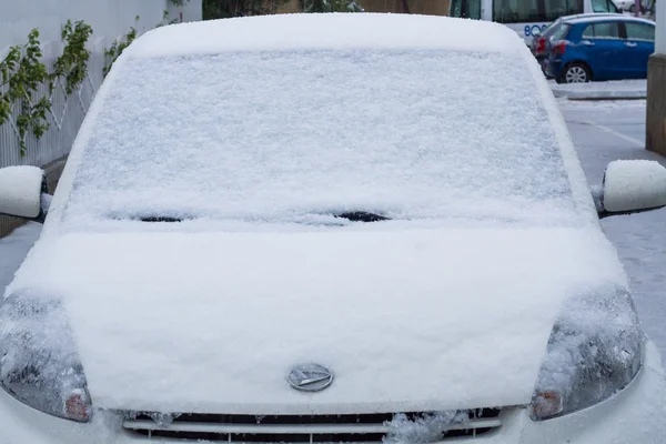 Snö i israel. 2013. — Stockfoto