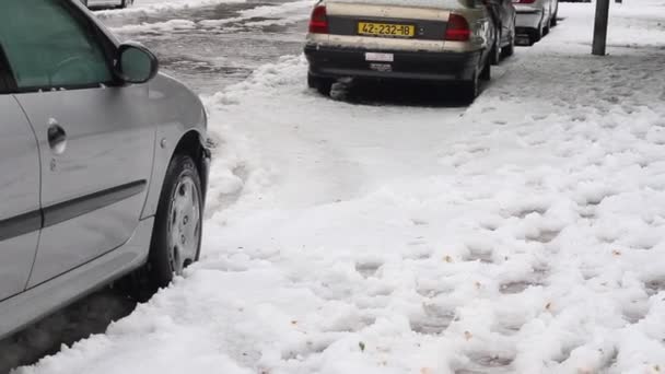 Neve em Israel. 2013 . — Vídeo de Stock