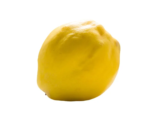 Quince on a white background. — Stock Photo, Image
