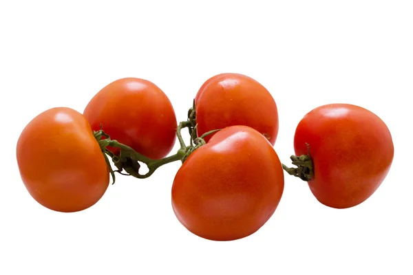 Tomate auf Weiß . — Stockfoto