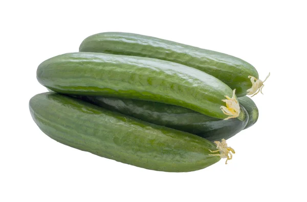 Komkommers geïsoleerd op wit . — Stockfoto
