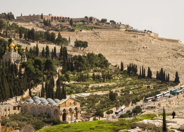 View on the landmarks of Jerusalem . - Stock-foto