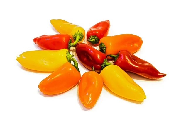 Mini-Paprika . — Stockfoto