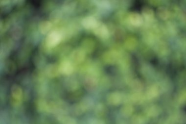 soyut tatil arka plan