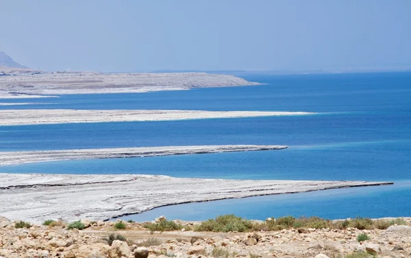 죽은 바다의 아름 다운 해안 . — 스톡 사진