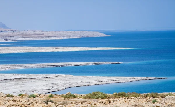 Ölü Deniz'in güzel sahil . — Stok fotoğraf