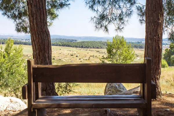 Bank im Wald — Stockfoto