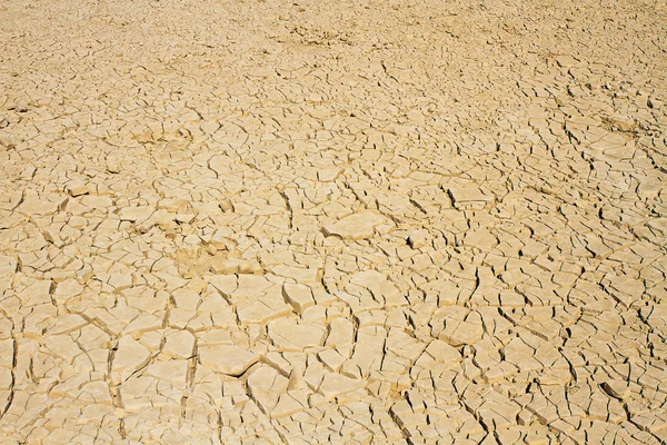 Drought land — Stock Photo, Image