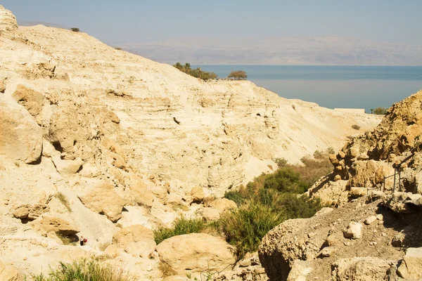 Ölü Deniz kayalıklarla — Stok fotoğraf