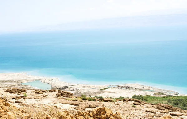 Ölü Deniz'in güzel sahil . — Stok fotoğraf