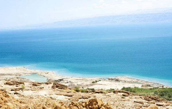 Ölü Deniz'in güzel sahil . — Stok fotoğraf