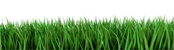 Zelená tráva jako textura pro pozadí. 3D vykreslení. — Stock fotografie
