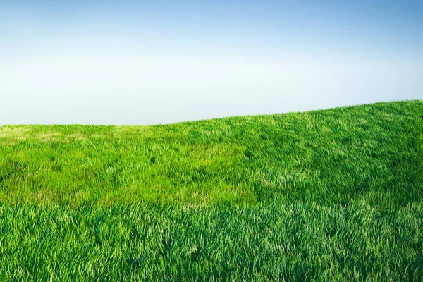Arka planda mavi gökyüzü olan yeşil çimenler. 3d oluşturma. — Stok fotoğraf