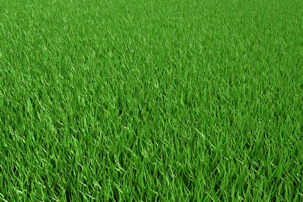 Hierba verde como textura para el fondo. 3d renderizar. —  Fotos de Stock