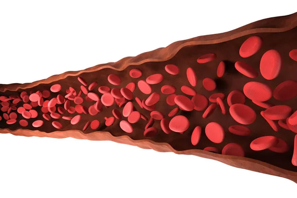 Glóbulos rojos, un concepto médico. ilustración 3d — Foto de Stock