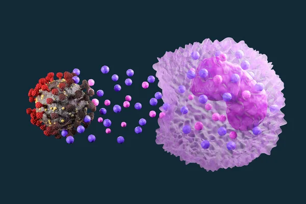 Lökosit Fagositoz Damarda Beyaz Kan Hücreleri Virüs Bakterilere Karşı Koruma Telifsiz Stok Fotoğraflar
