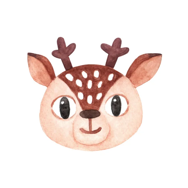 Face Head Cute Brown Fawn Muzzle Funny Animal Isolated White — Stock Photo, Image