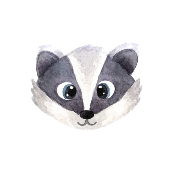 Face Head Cute Grey Badger Muzzle Funny Animal Isolated White — Stock Photo, Image