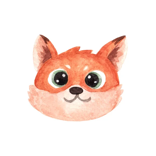 Face Head Cute Fox Muzzle Wild Forest Animal Isolated White — стоковое фото