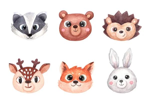 Set Faces Heads Cute Animals Woodland Animals Fawn Bear Hedgehog — ストック写真