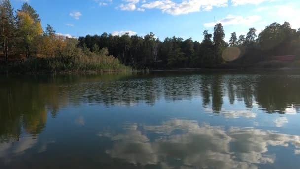 Ciche Jezioro Pobliżu Zielonego Lasu Widok Krajobraz Czyste Błękitne Niebo — Wideo stockowe