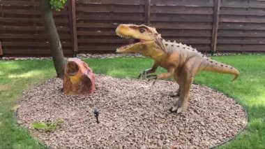 DINO PARK, KHARKOV - 8 Ağustos 2021: Açık havada tarihi dinozor heykelleri bulunan Park Müzesi. Tarih öncesi hayvanlar milyonlarca yıl önce dünyada yaşamış. Küçük Tyrannosaurus rex