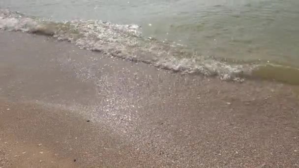 Deniz Kumsalı Mavi Gökyüzü Kum Güneş Yazın Dalgalı Deniz Kıyıları — Stok video
