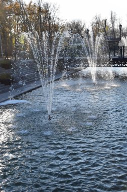 Su akıntısı yere akıyor. Sonbahar bahçesindeki çeşme.