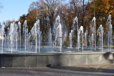 Harkov, Ukrayna. 2021, 26 Ekim. Parktaki dekoratif çeşme fıskiyeleri sonbahar yeşilliklerinde arka planda. Seçici odaklanma. Sonbahar parkının çeşmesinde su jetleri hareket ediyor.