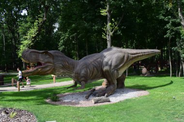 DINO PARK, KHARKOV - 8 Ağustos 2021: Açık havada tarihi dinozor heykelleri bulunan Park Müzesi. Tarih öncesi hayvanlar milyonlarca yıl önce dünyada yaşamış. Tyrannosaurus rex