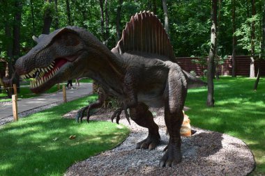 DINO PARK, KHARKOV - 8 Ağustos 2021: Parktaki güzel dinozor heykeli manzarası. Spinosaurus bir ormanda duruyor. Spinosaurus et yiyen büyük bir dinozordu.